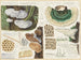 Trametes gibbosa - Hans Baldung — vista dell’opera