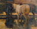 Cavalli nella pozzanghera - Hans von Hayek — vista dell’opera
