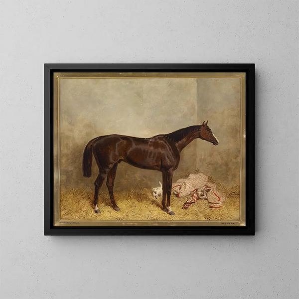 Prince Charlie - Harald R. Hall — gerahmtes Bild an der Wand
