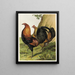 Gibier rosso con petto nero - Harrison Weir — quadro incorniciato alla parete