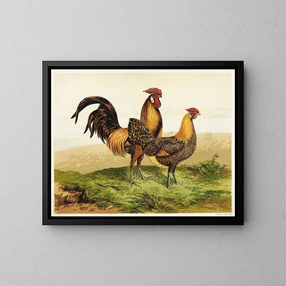 Harrison Weir - Golden Pencilled Hamburghs.webp