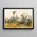 Hambourgs Argentés Tachetés - Harrison Weir — quadro incorniciato alla parete