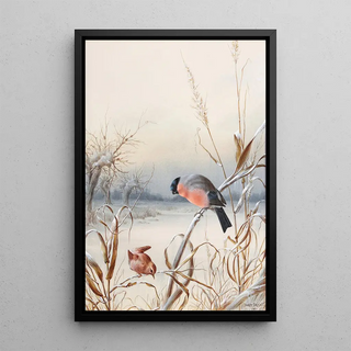 Harry Bright - Winter A Cock Bullfinch and Wren.webp