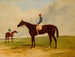 M. John Gully und Andover, Sieger des Derby 1854 - Harry Hall — Ansicht des Kunstwerks