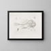 Memorie del Museo di zoologia comparata di Harvard College Pl16 - Museo di Zoologia Comparata dell'Università di Harvard — quadro incorniciato alla parete