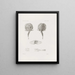 Memorie del Museo di zoologia comparata del Harvard College Pl25 - Museo di Zoologia Comparata dell'Università di Harvard — quadro incorniciato alla parete