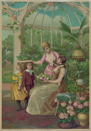 Hatch Lith Co - How she grows.webp