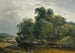 Paesaggio con gregge e pastorella - Heinrich Peyer — vista dell’opera