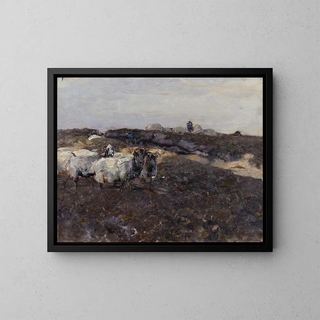 Heinrich Von Zgel - Sheeps in Moorland.webp