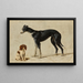 Ein Cavalier King Charles Spaniel sitzend und ein Galgo stehend - Hendrik Stokvisch — gerahmtes Bild an der Wand