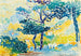 Paesaggio provenzale - Henri-Edmond Cross — vista dell’opera