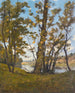 La Loire à Bonny - Henri - Joseph Harpignies — vista dell’opera