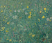 Le Fiori - Henri Martin — vista dell’opera