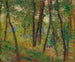 Sotto bosco - Henri Martin — vista dell’opera