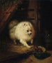 Ein unerwünschter Eindringling - Henriette Ronner-Knip — Ansicht des Kunstwerks