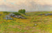Paesaggio pastorale - Henry Hammond Gallison — vista dell’opera