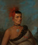 Pes-Ke-Le-Cha-Co - Henry Inman — artwork view