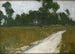 Sentiero di campagna in Francia - Henry Ossawa Tanner — vista dell’opera