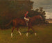 di Charles Edward appartenente a William H. Dubois con il fantino in sella - Henry Stull — vista dell’opera