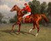 Rennpferd braun, vielleicht Chaos, Sieger der Second Futurity Stakes mit Jockey im Sattel - Henry Stull — Ansicht des Kunstwerks