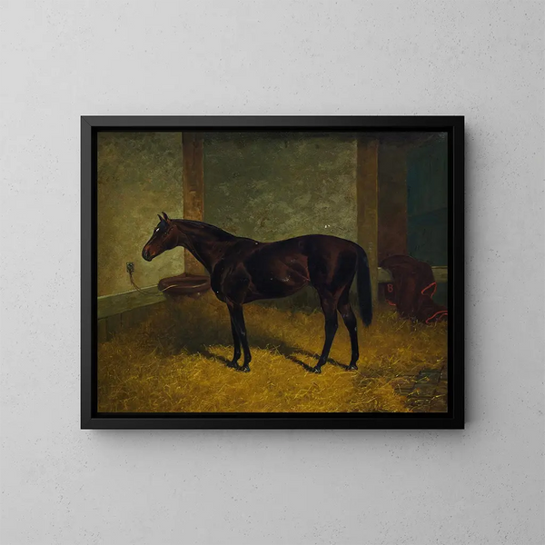 Hastings in einer Stallung - Henry Stull — gerahmtes Bild an der Wand