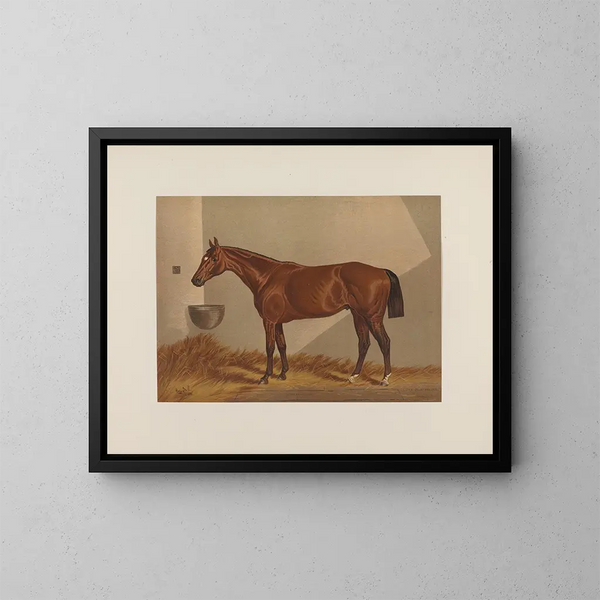 Luke Blackburn - Henry Stull — gerahmtes Bild an der Wand