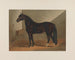 Messager Duroc - Henry Stull — Ansicht des Kunstwerks