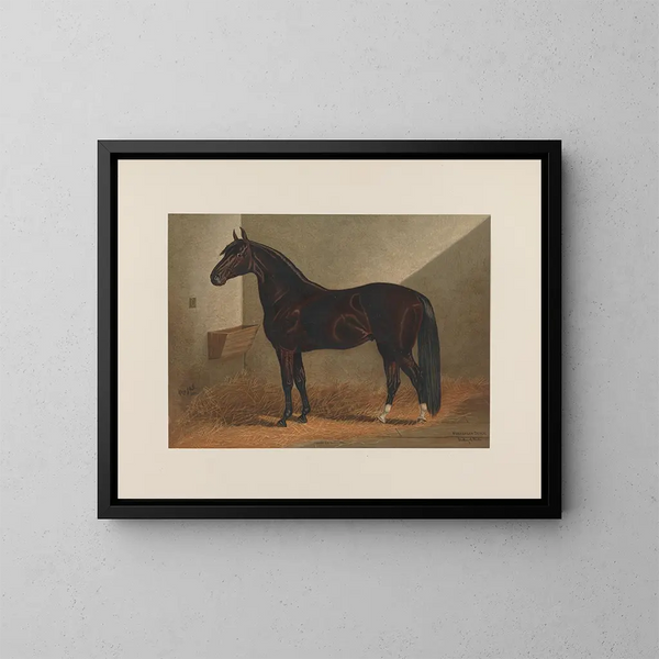 Messager Duroc - Henry Stull — gerahmtes Bild an der Wand