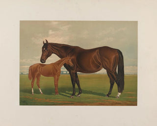 Nevada - Henry Stull — Ansicht des Kunstwerks