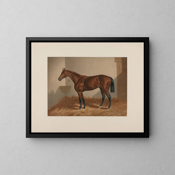 Pferd von Ten Broeck Bay - Henry Stull — gerahmtes Bild an der Wand