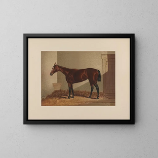 Henry Stull - Thora.webp