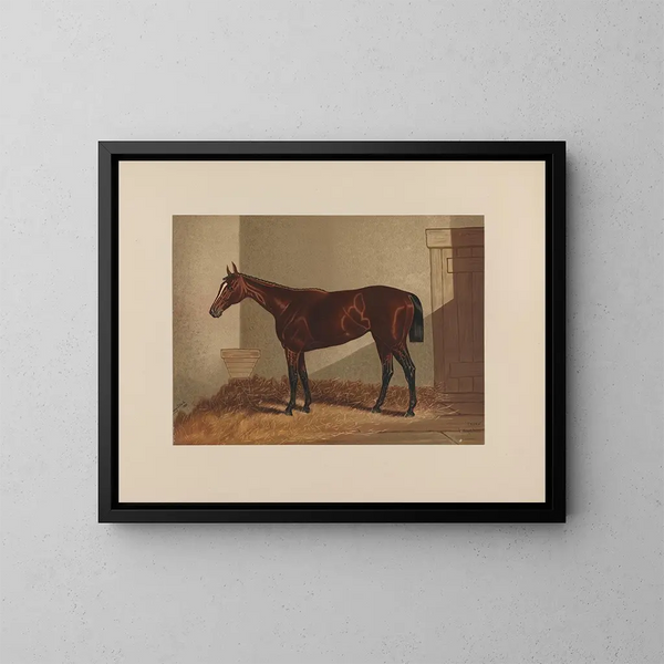 Thora - Henry Stull — gerahmtes Bild an der Wand