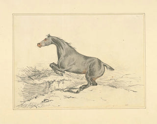 Henry Thomas Alken - Jumping horse.webp