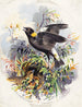 Family of birds in a nest among the grasses - Henry Walker Herrick — artwork view