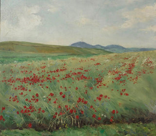 Campo di papaveri - Henryk Weyssenhoff — vista dell’opera