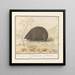Riccio Erinaceus europaeus Everswijn - Anselmus Botius de Boodt — quadro incorniciato alla parete