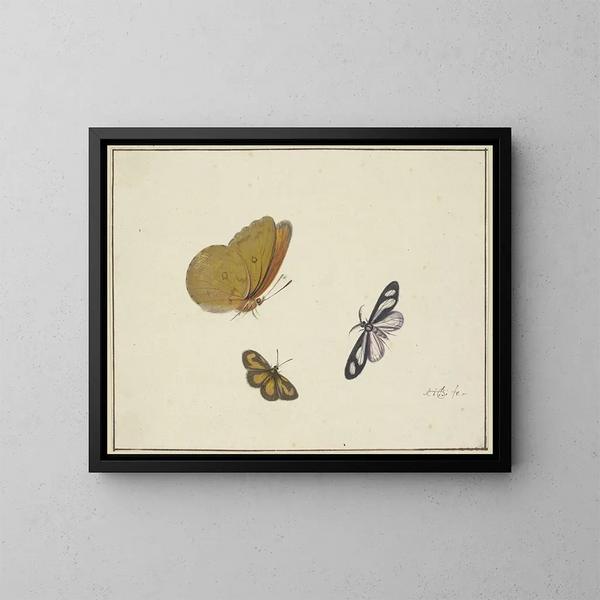 eines gelben Schmetterlings, eines schwarz-gelben Schmetterlings und eines schwarz-weißen Schmetterlings - Herman Henstenburgh — gerahmtes Bild an der Wand