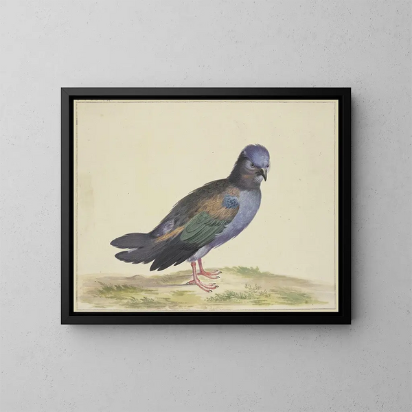 Eine blaue Taube mit grünen und schwarzen Flügeln - Herman Henstenburgh — gerahmtes Bild an der Wand