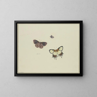 Herman Henstenburgh - Three butterflies.webp