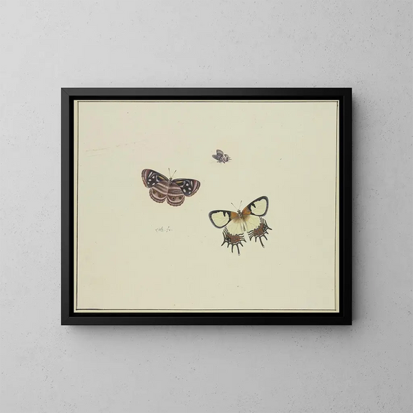 Drei Schmetterlinge - Herman Henstenburgh — gerahmtes Bild an der Wand