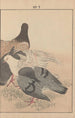 Keinen kach gafu Pl008 - Imao Keinen — artwork view