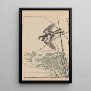 Imao Keinen - Keinen kach gafu Pl105.webp