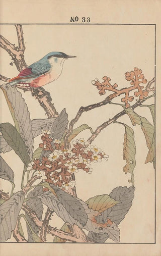 Imao Keinen - Keinen kach gafu Pl162.webp