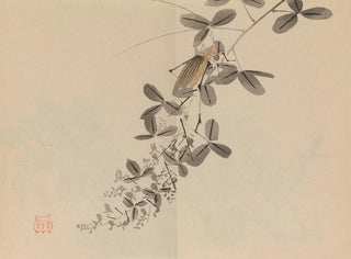 Keinen shugajō Pl40 - Imao Keinen — Ansicht des Kunstwerks
