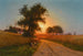 a summer evening in Ukraine - Iosif Evstafevich Krachkovsky — artwork view