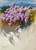 Glycine en fleurs - Iosif Evstafevich Krachkovsky — artwork view