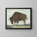 Bison - Isaac van Haastert — gerahmtes Bild an der Wand