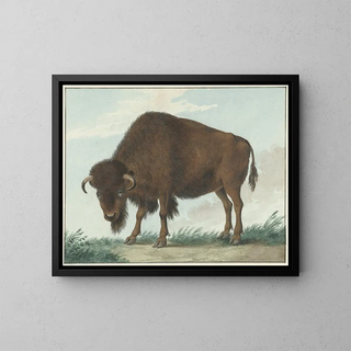 Isaac van Haastert - Bison.webp