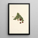 Akala - Isabella McHutcheson Sinclair — framed artwork on a wall