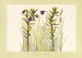 KolokoloKuahiwi - Isabella McHutcheson Sinclair — artwork view